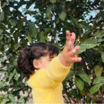 Voces palestinas: Un oasis de esperanza en medio de la desesperación